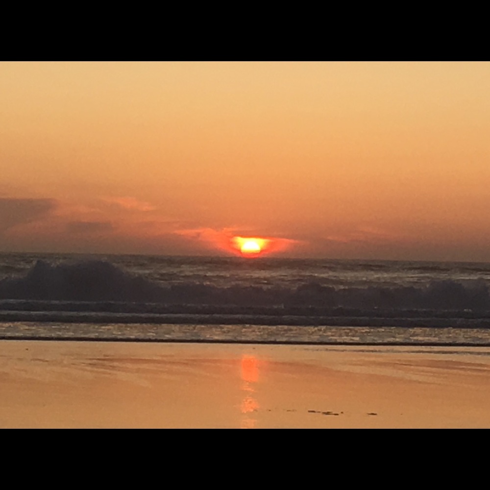 Meet your Posher, Krista